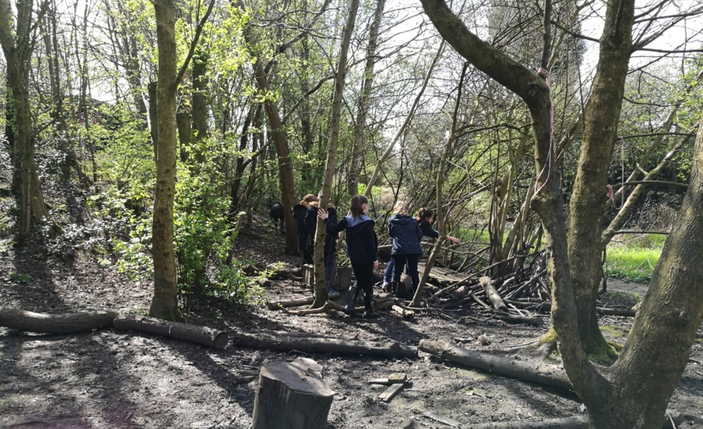 Image of Forest School with Willow